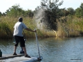 SAM_1107